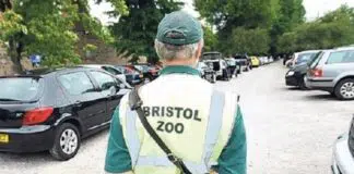 A Well-Planned Retirement Bristol Zoo