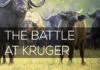 Battle at Kruger The Battle at Kruger