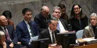 China’s position paper calls for comprehensive ceasefire in Gaza UN PALESTINIANS ISRAEL CONFLICT